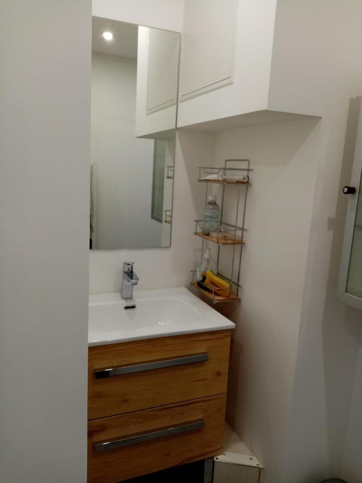 Appartement T4 Des Jardins Chambéry Dış mekan fotoğraf